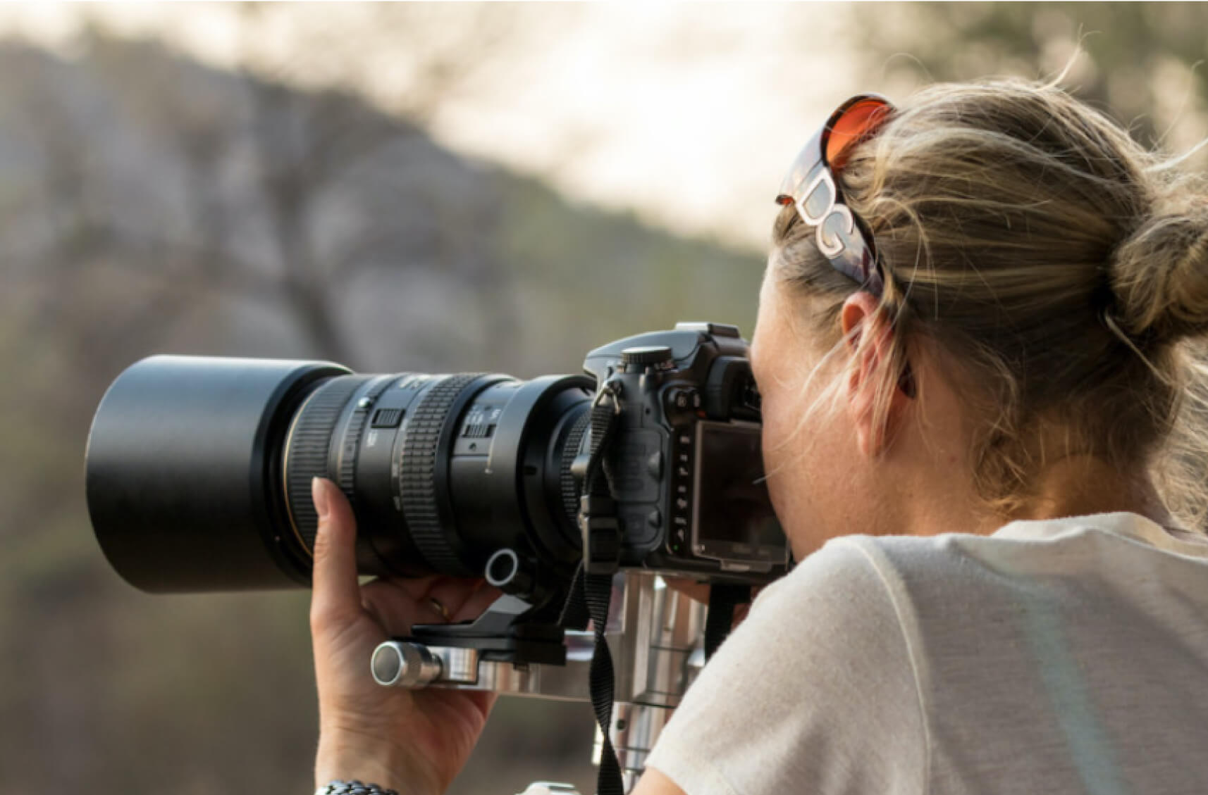 Our Top 10 Wildlife Photography Tips