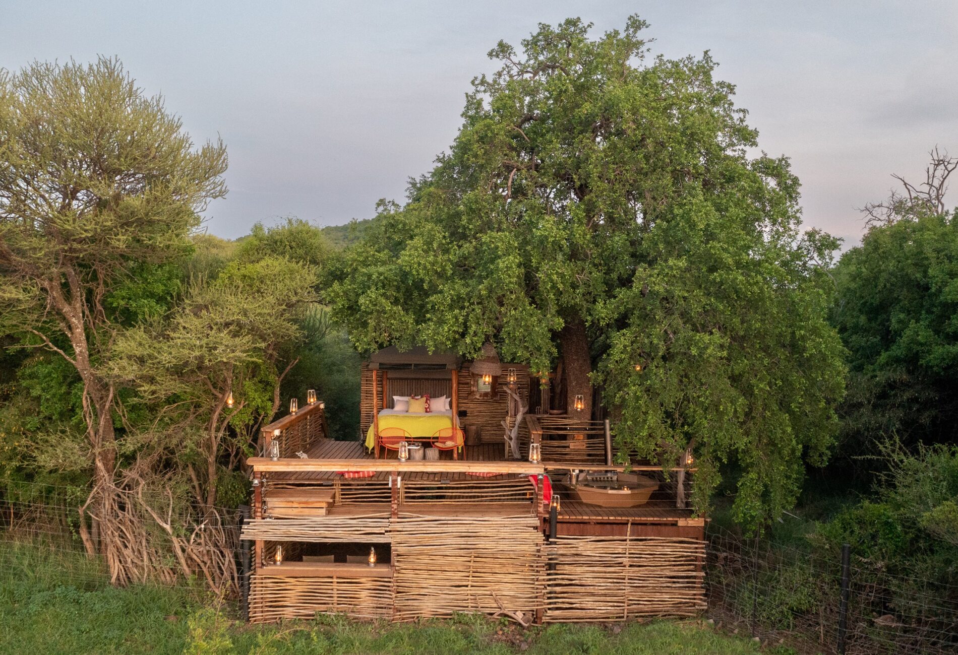 Naledi Treehouse